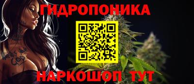 прущие грибы Лесосибирск