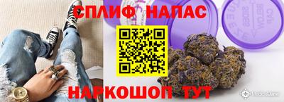 прущие грибы Лесосибирск