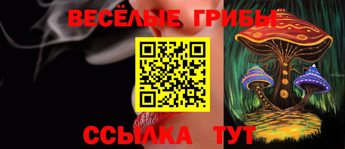 Галлюциногенные грибы GOLDEN TEACHER  Галлюциногенные грибы мицелий  Верхний Уфалей  Вход с VPN 